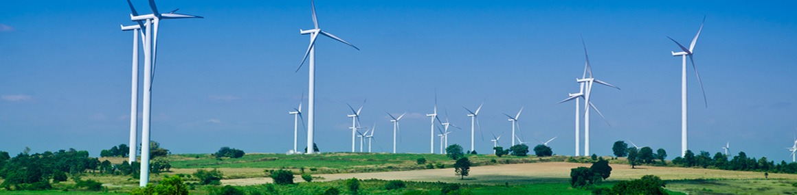 Wind farms turbines in a field